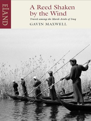 cover image of A Reed Shaken by the Wind